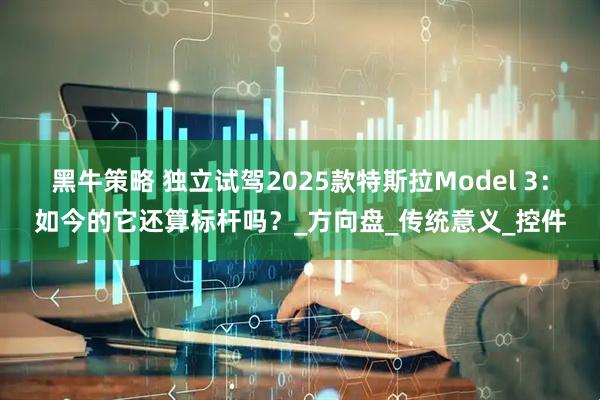 黑牛策略 独立试驾2025款特斯拉Model 3：如今的它还算标杆吗？_方向盘_传统意义_控件