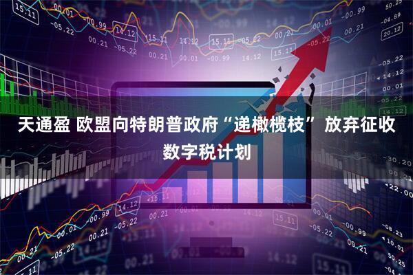 天通盈 欧盟向特朗普政府“递橄榄枝” 放弃征收数字税计划